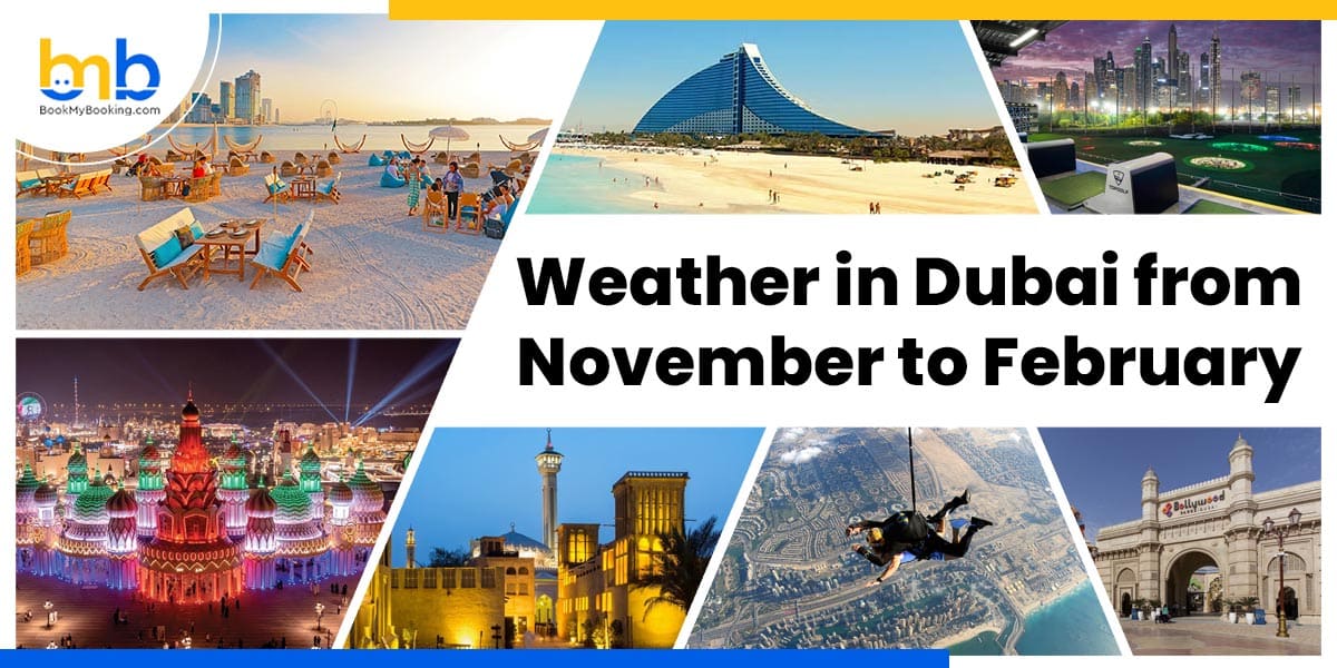 november to february from bookmybooking