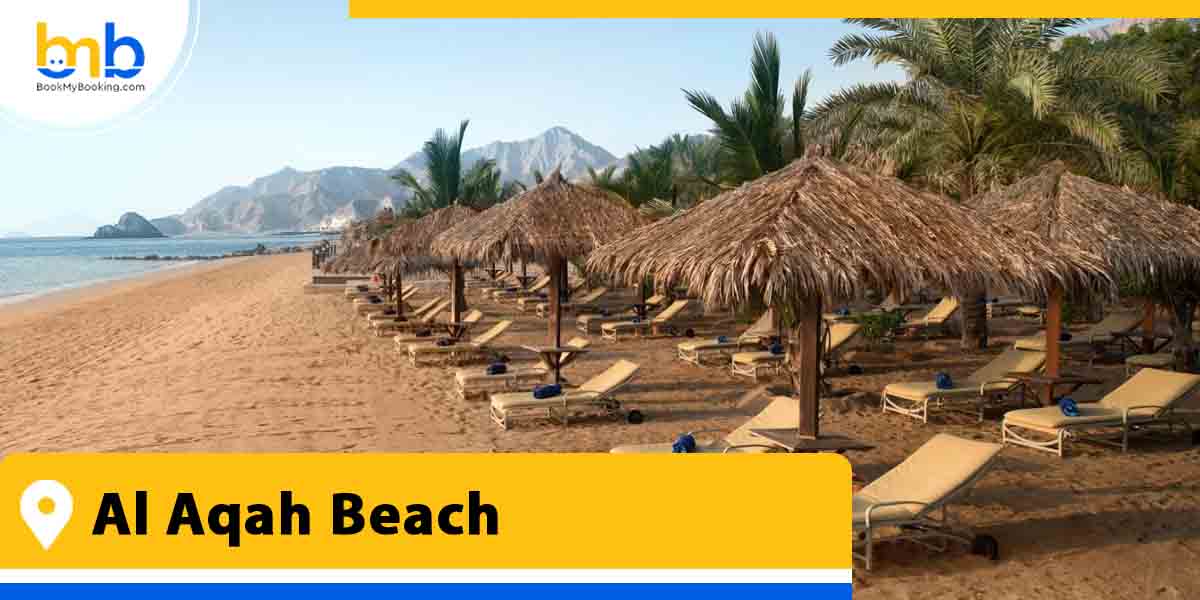 al aqah beach from bookmybooking