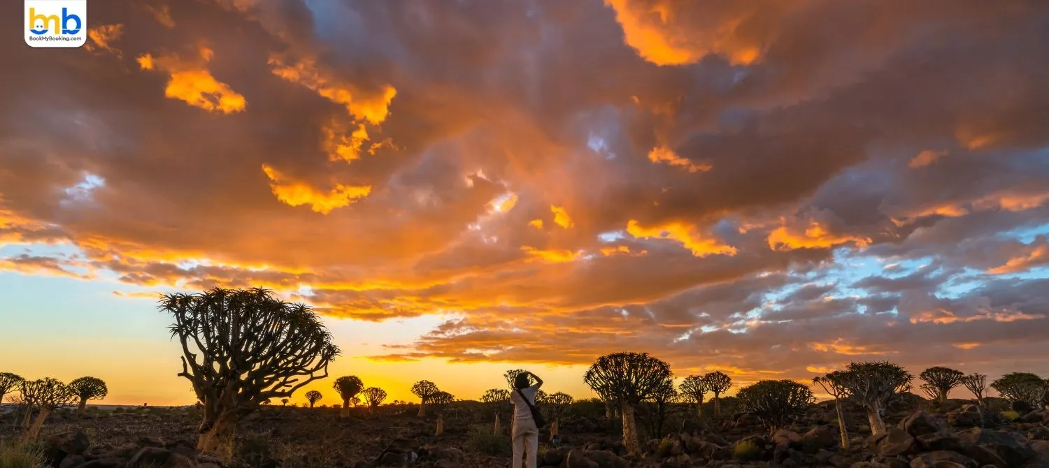 Discover South Africa- Nelson Mandela Capture Experience