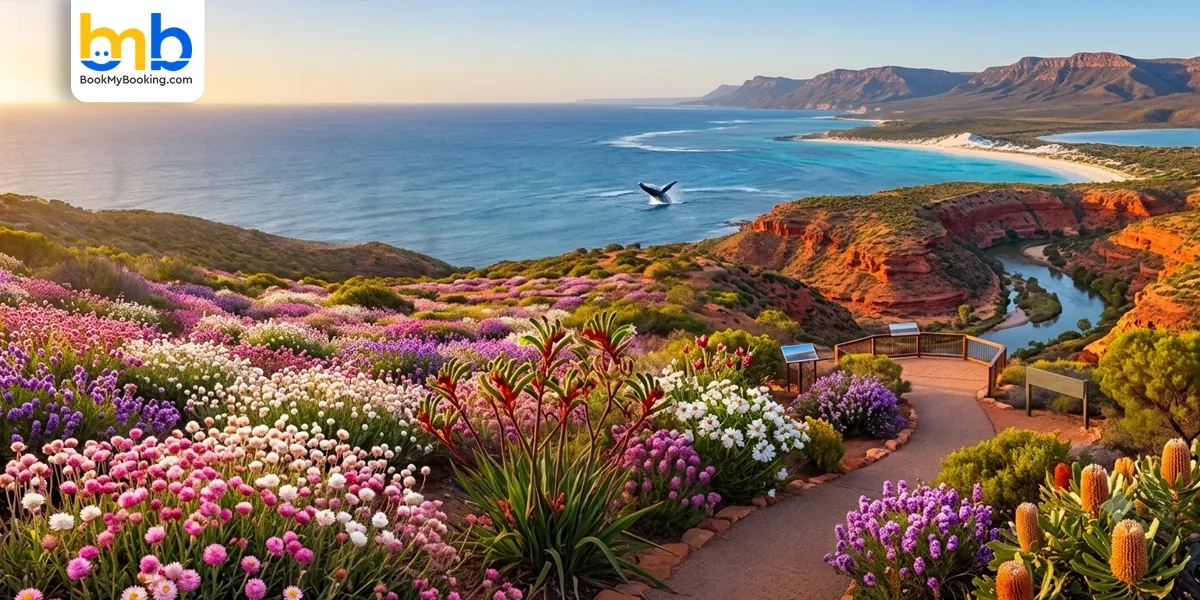 Australia's Coral Coast Set For Spectacular 2026 Wildflower Season