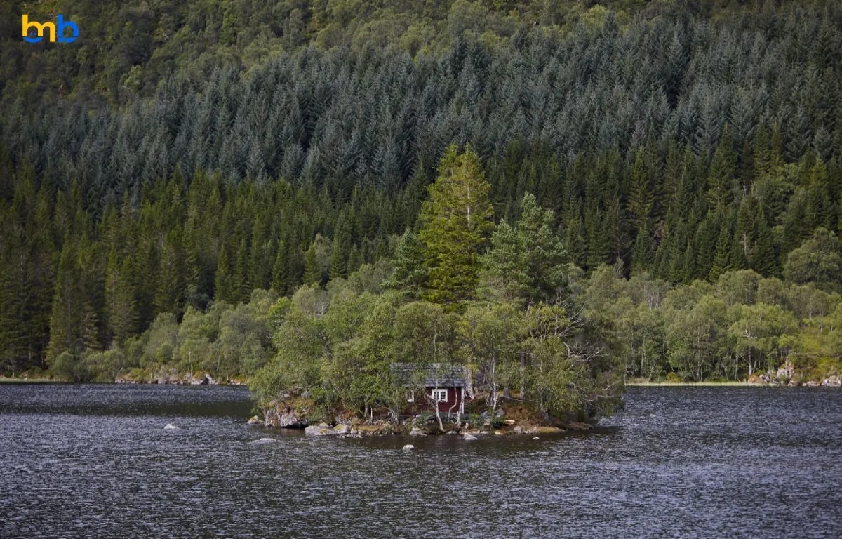 The Ultimate Mammoth Lakes Winter Holiday Guide 