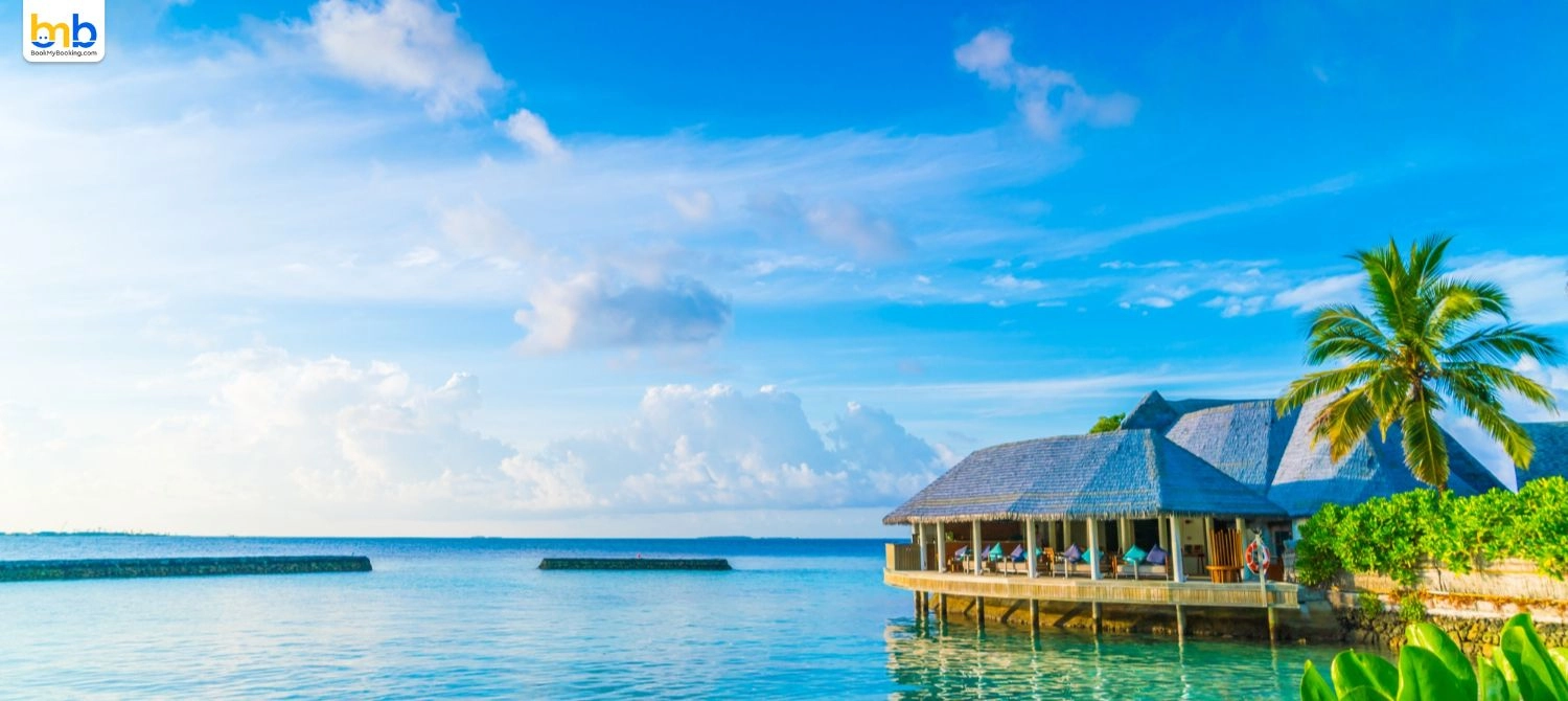 Goa Cracks Down On Touts, Unauthorized Vendors Statewide