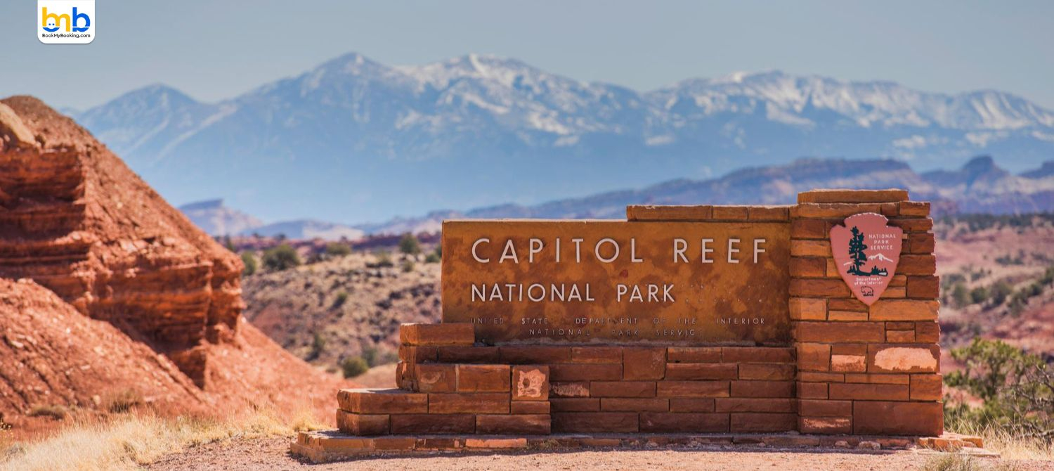 Trump Orders National Park Entry Fees Hike: Foreign Tourists 