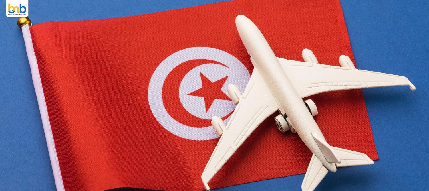 Turkish Airlines Posts $2.4B Profit, $260M Dividend Announced 