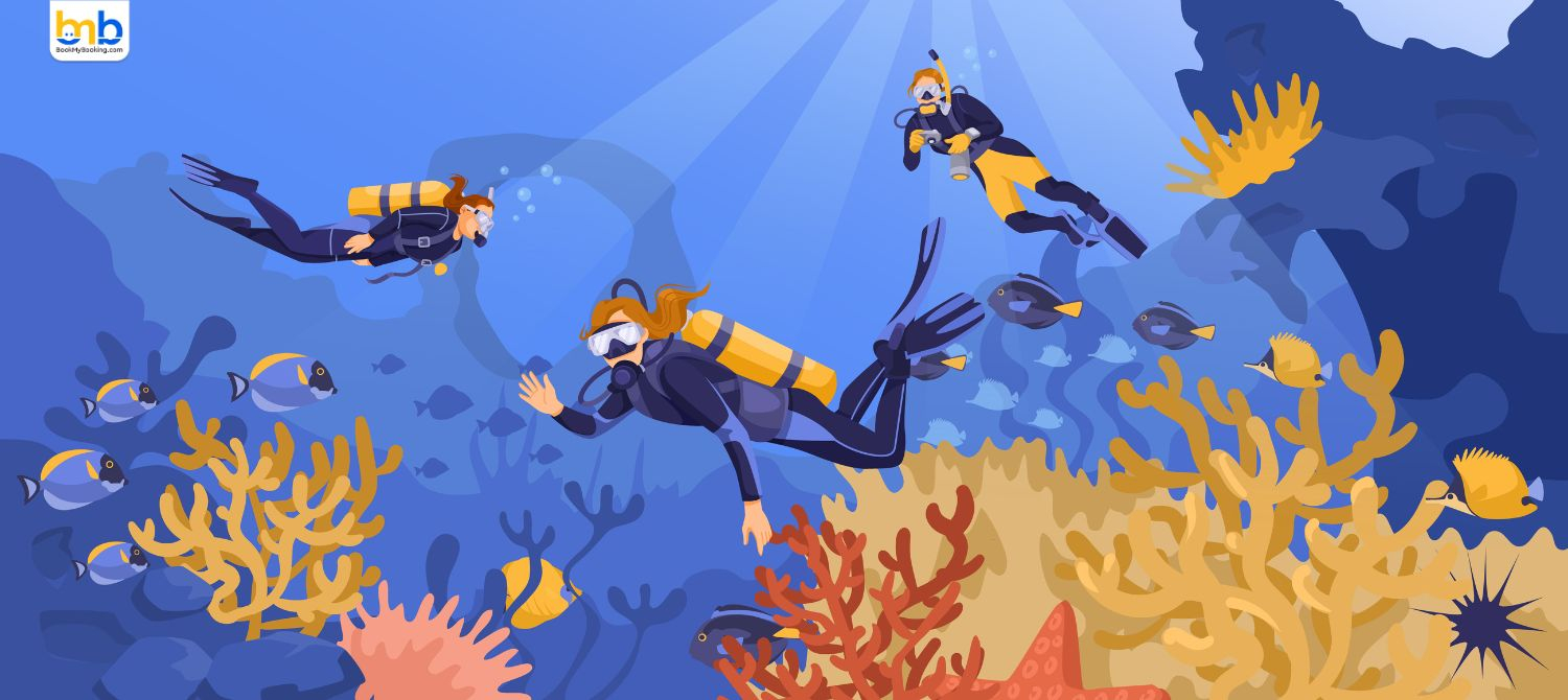 Western Australia Reopens Humpback Highway For Marine Tourism.