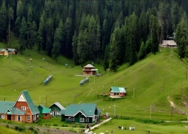 MINI SWITZERLAND