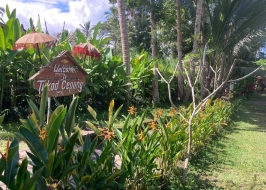 TUKAD CEPUNG WATERFALL