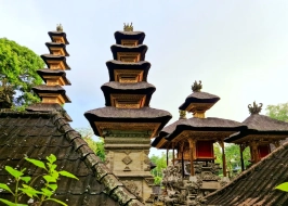 VIBRANT VISTAS VOYAGE 5 NIGHTS