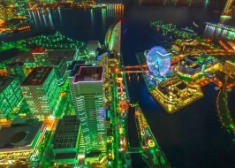 THE SKY GARDEN