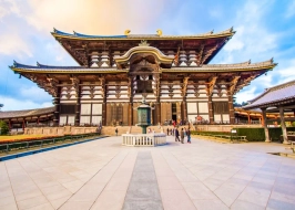 Journey Through Japan 5 Nights