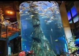 AQUARIA KLCC