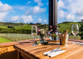 WAIHEKE ISLAND WITH WINE TASTING