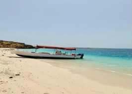 Royal Retreat 5 Nights In Saudi Arabia