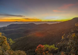 Tea And Tranquility Tour 5 Nights