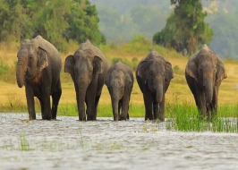 Cultural Wonders 5 Nights