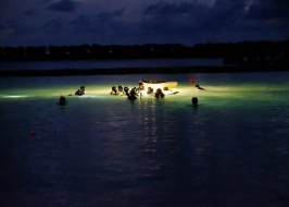 NIGHT SNORKELING EXPERIENCE IN MIRISSA
