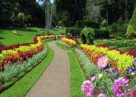 ROYAL BOTANIC GARDENS PERADENIYA