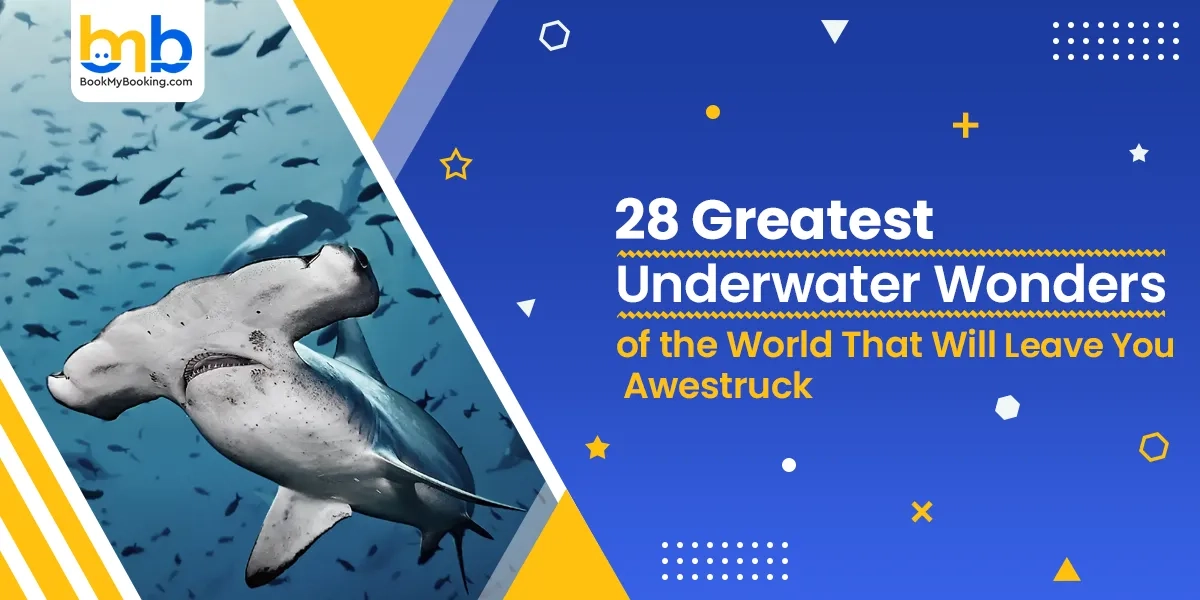 28 Greatest Underwater Wonders Of The World That Will Leave You Awestruck | BookMyBooking
