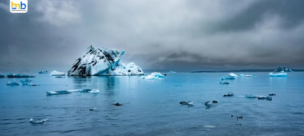 Surging Tourism Is Polluting Antarctica, Scientists Warn
