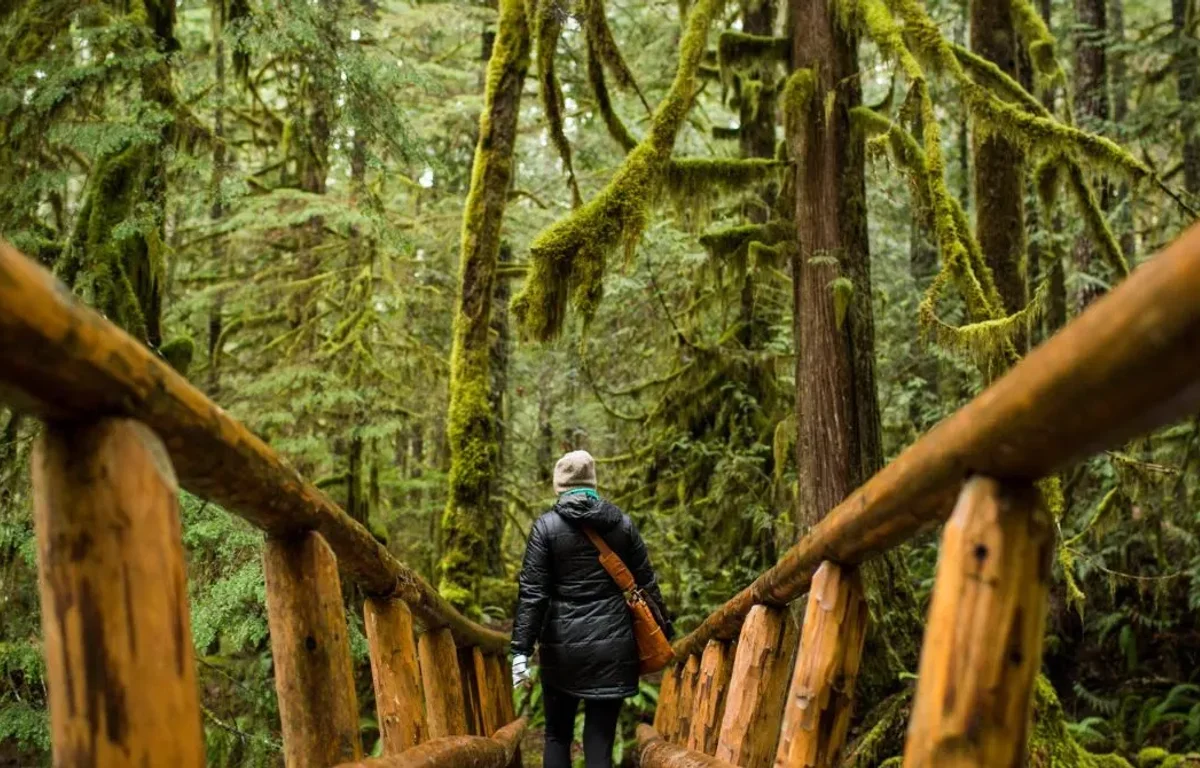 India Tourism- Meghalaya Strengthens Through Homestays And Infrastructure