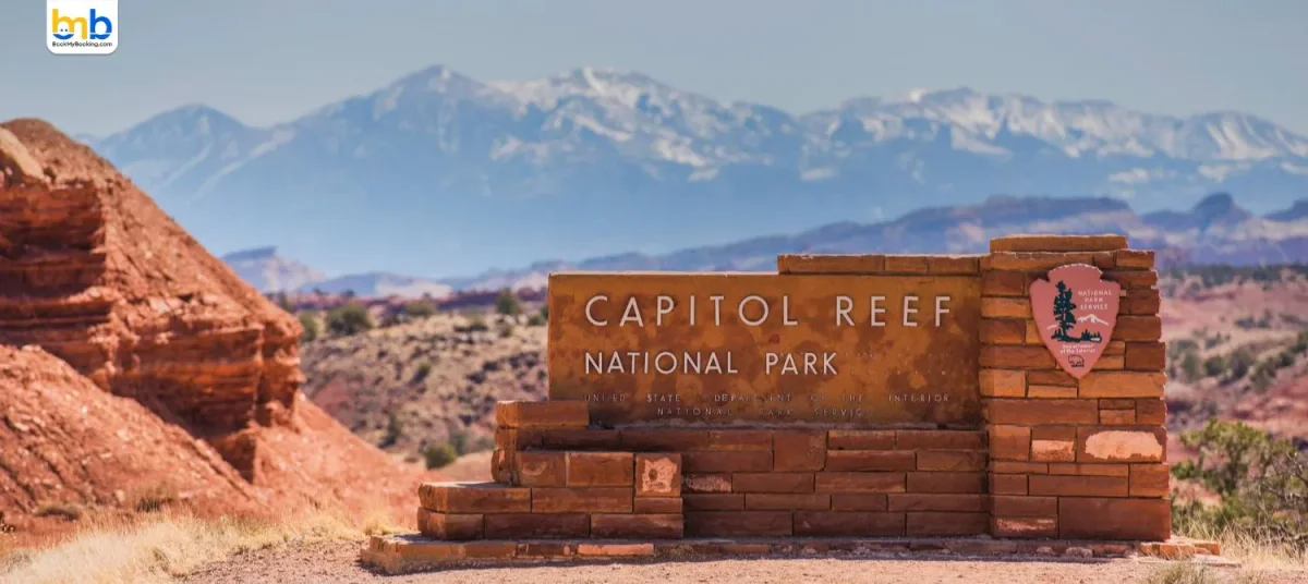 Trump Orders National Park Entry Fees Hike: Foreign Tourists 