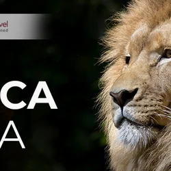 South Africa