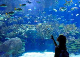 PLANET OCEAN WORLD