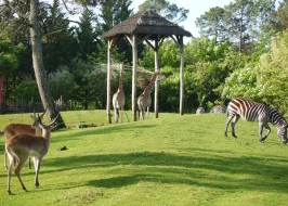 ZOO ARCACHON BASIN