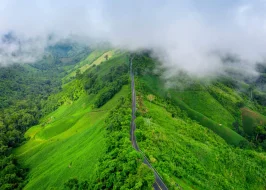 Coorg 3 Nights Serenity Escape