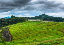 Misty Mountains Of Wayanad