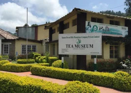 TATA TEA MUSEUM