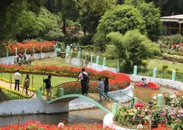 Ooty 3 Nights Enchanting Hills Retreat