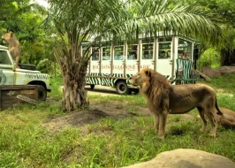 BALI AND NUSA PENIDA 5 NIGHTS