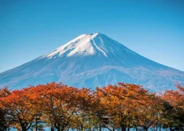 Japan 5 Nights Of Serenity And Splendor