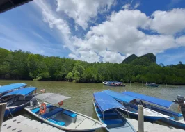 MANGROVE TOUR WITH KILIM GEOPOREST PARK