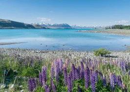 LAKE TEKAPO