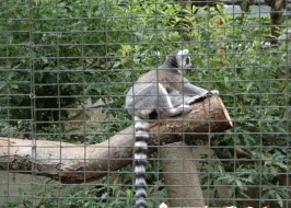 WILLOWBANK WILDLIFE RESERVE