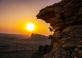 The Jewel Of Arabia 5 Nights Of Rich Culture