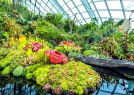 Mystical Moments In Singapore 3 Nights