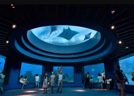 SINGAPORE OCEANARIUM