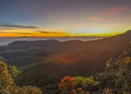 Tea And Tranquility Tour 5 Nights