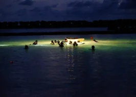 NIGHT SNORKELING EXPERIENCE IN MIRISSA