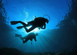 SCUBA DIVING IN MIRISSA