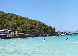CORAL ISLAND