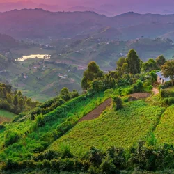 Uganda