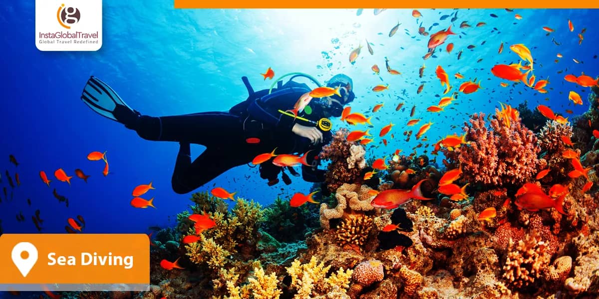Sea Diving