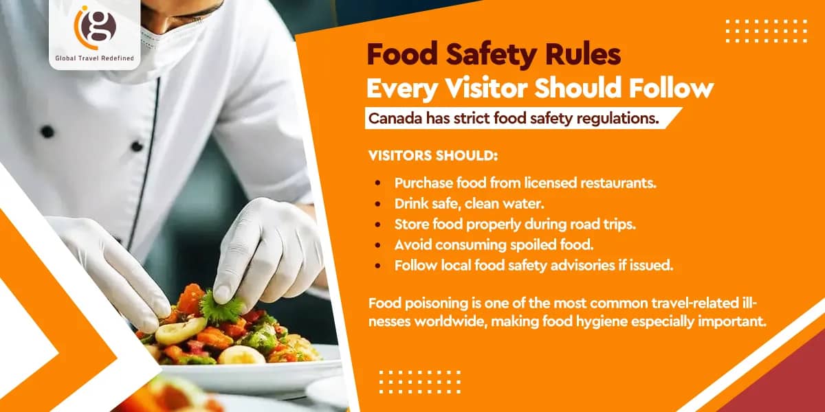 Food Safety Rules Every Visitor Should Follow