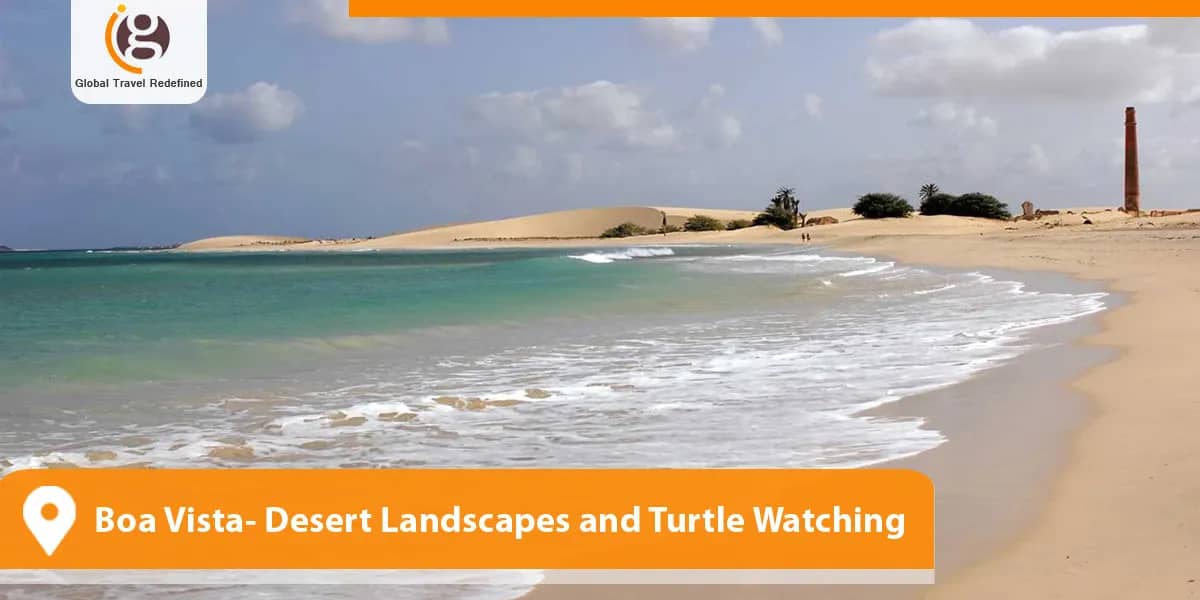 Boa Vista- Desert Landscapes and Turtle Watching