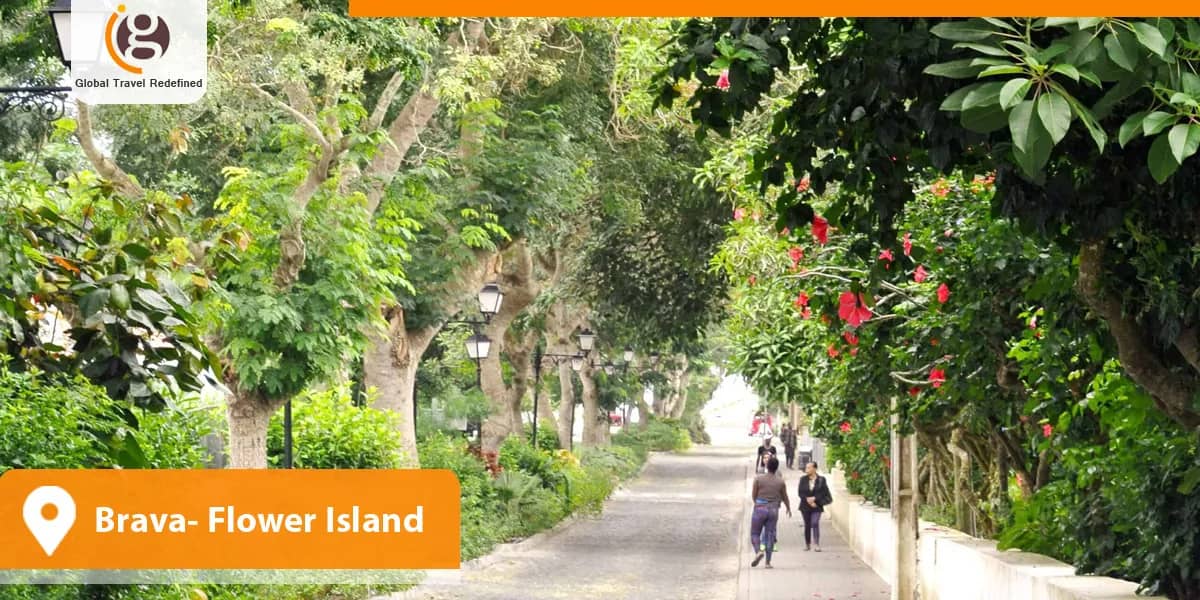 Brava- Flower Island