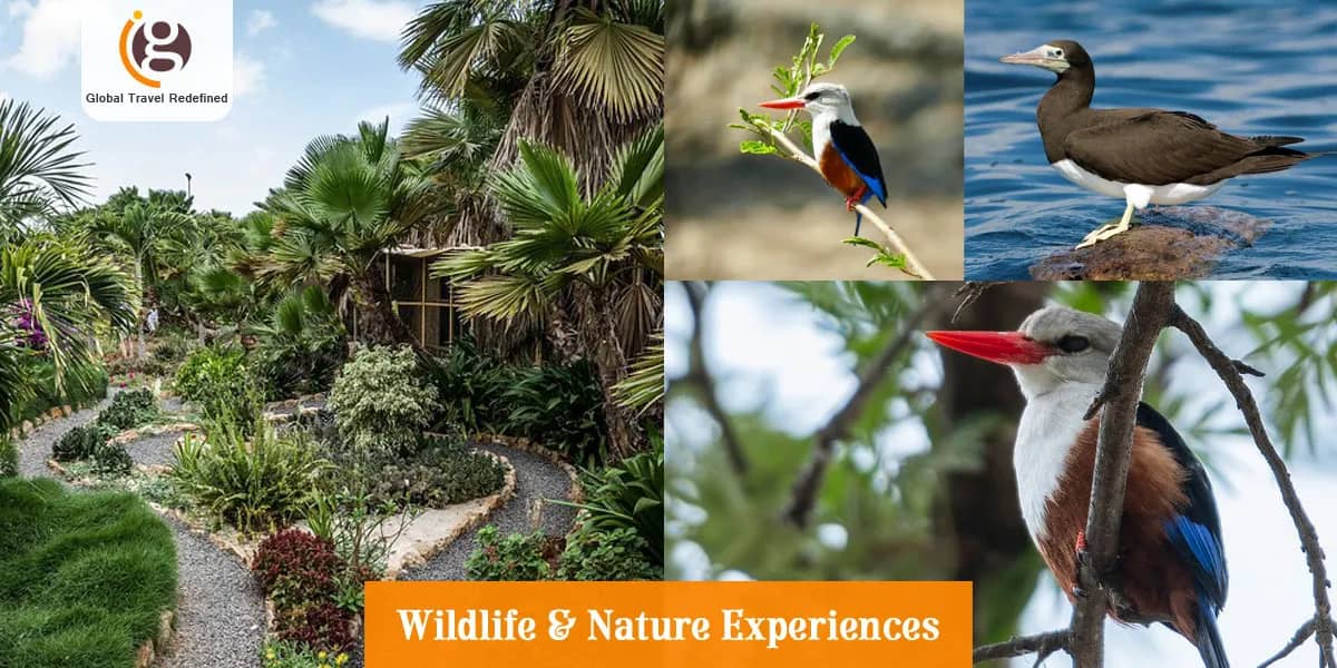Wildlife & Nature Experiences